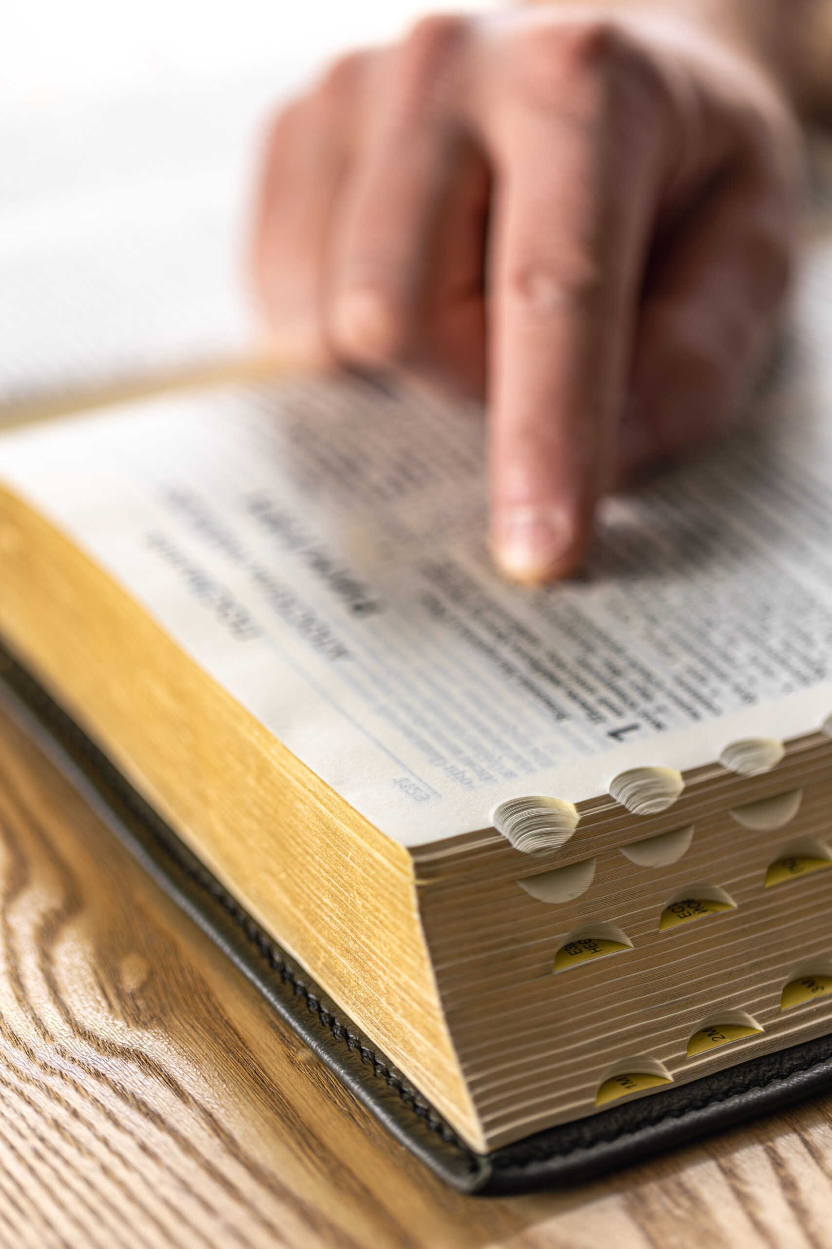 close up of the bible. holy book bible. a man reads the bible.
